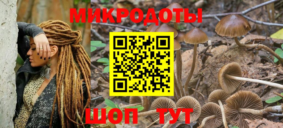 Галлюциногенные грибы Cubensis  Галлюциногенные грибы MAGIC MUSHROOMS  Вход с VPN  где купить наркотик  Чапаевск 